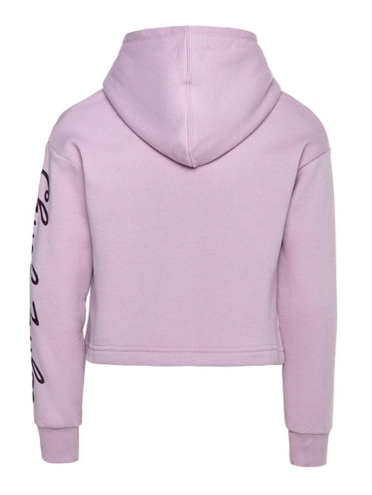 Converse Shine Core Boxy Hoodie